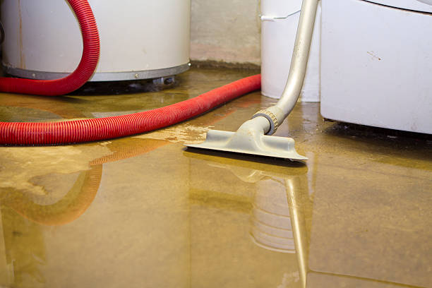 Reliable Washington, IA Water damage restoration Solutions